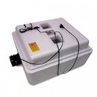 Инкубатор "Несушка " на 77 яиц  (арт. 63Г) 