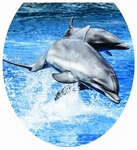 Крышка для унитаза мягкая