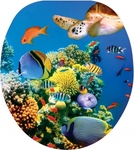 Крышка для унитаза мягкая